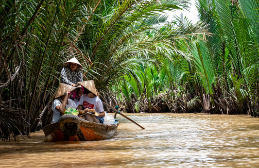 Creative Uses for Dried Vietnamese Fruits