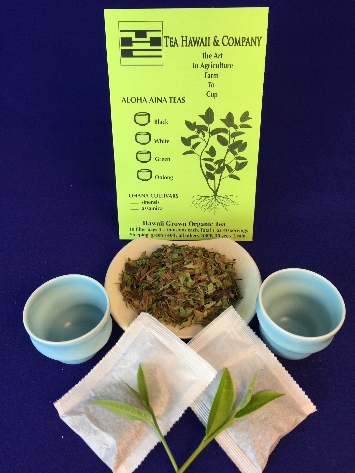Hawaii Grown Green Tea – Forest Grown Aloha Aina Tea in Paper Filter Bags (1 oz)