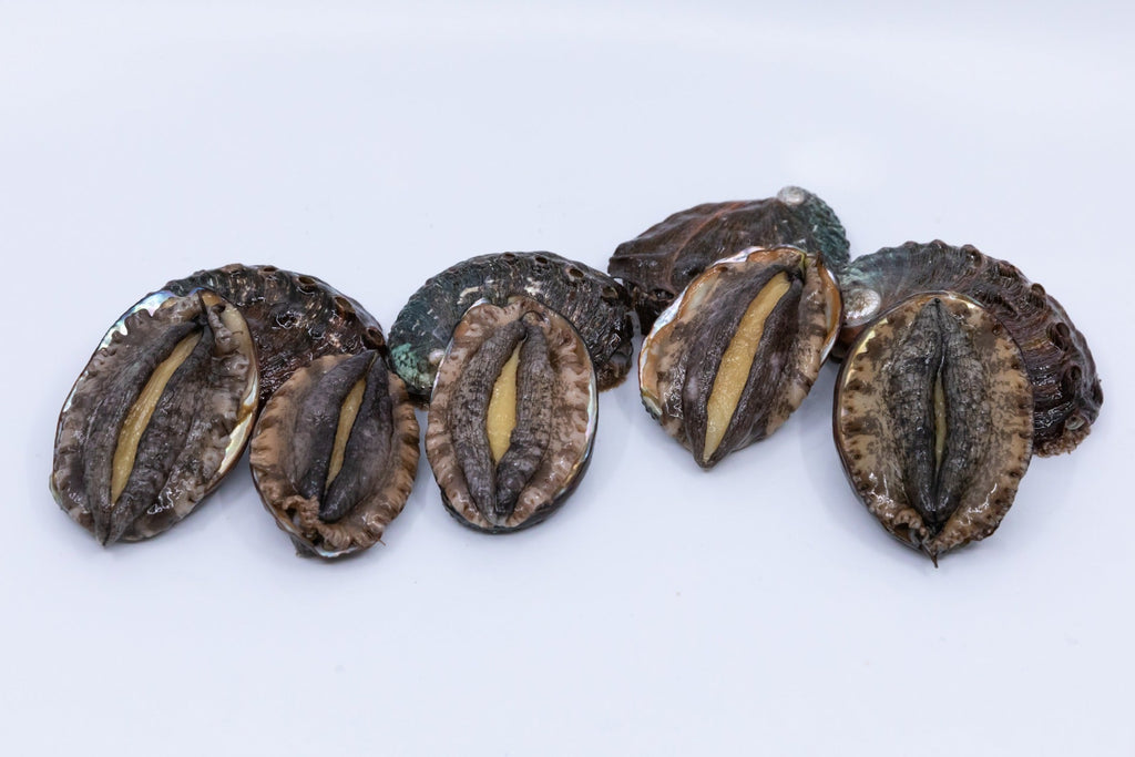 Kona Japanese Abalone Size 1 (14 to 24pcs/LB), 1LB