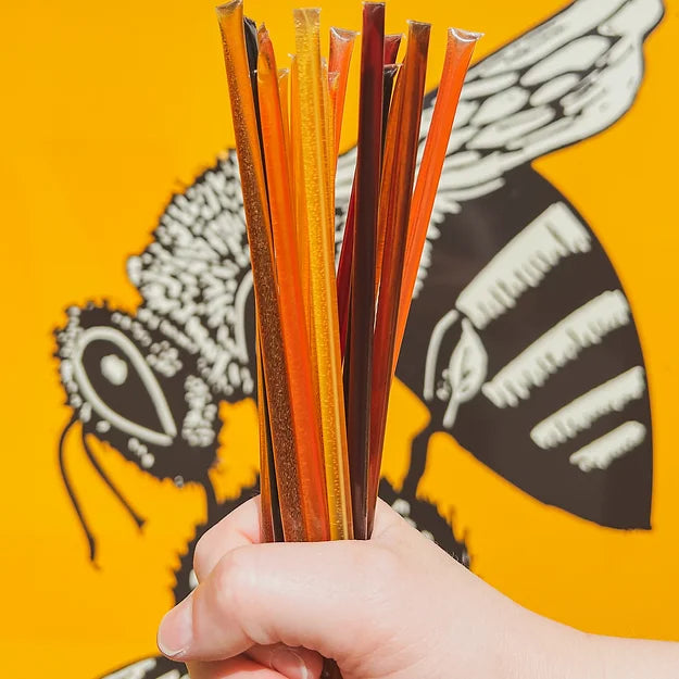 Pack de variété unique de bâtonnets de miel ! 2 de chaque - fleurs sauvages, caramel de grand-mère, pâte à brownie, mûre, bonbons à la pastèque, cannelle, tarte au citron !