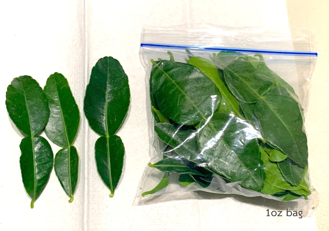 Fresh Organic Kaffir Lime Leaves, Picked Fresh to Order (1 oz)