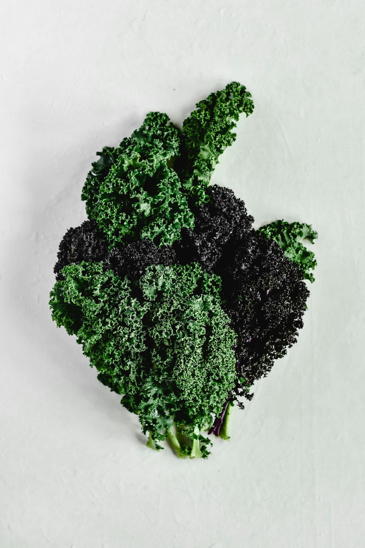 Farm-Fresh Pesto & Hummus Trio – Bold, Herbaceous & Savory Flavors