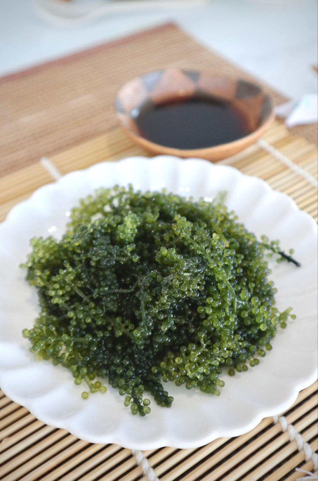 SEA ESSENCE Raisins de mer du Japon - Caviar vert (40g déshydraté donne 100g)