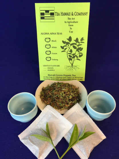 Hawaii Grown Green Tea – Forest Grown Aloha Aina Tea in Paper Filter Bags (1 oz)