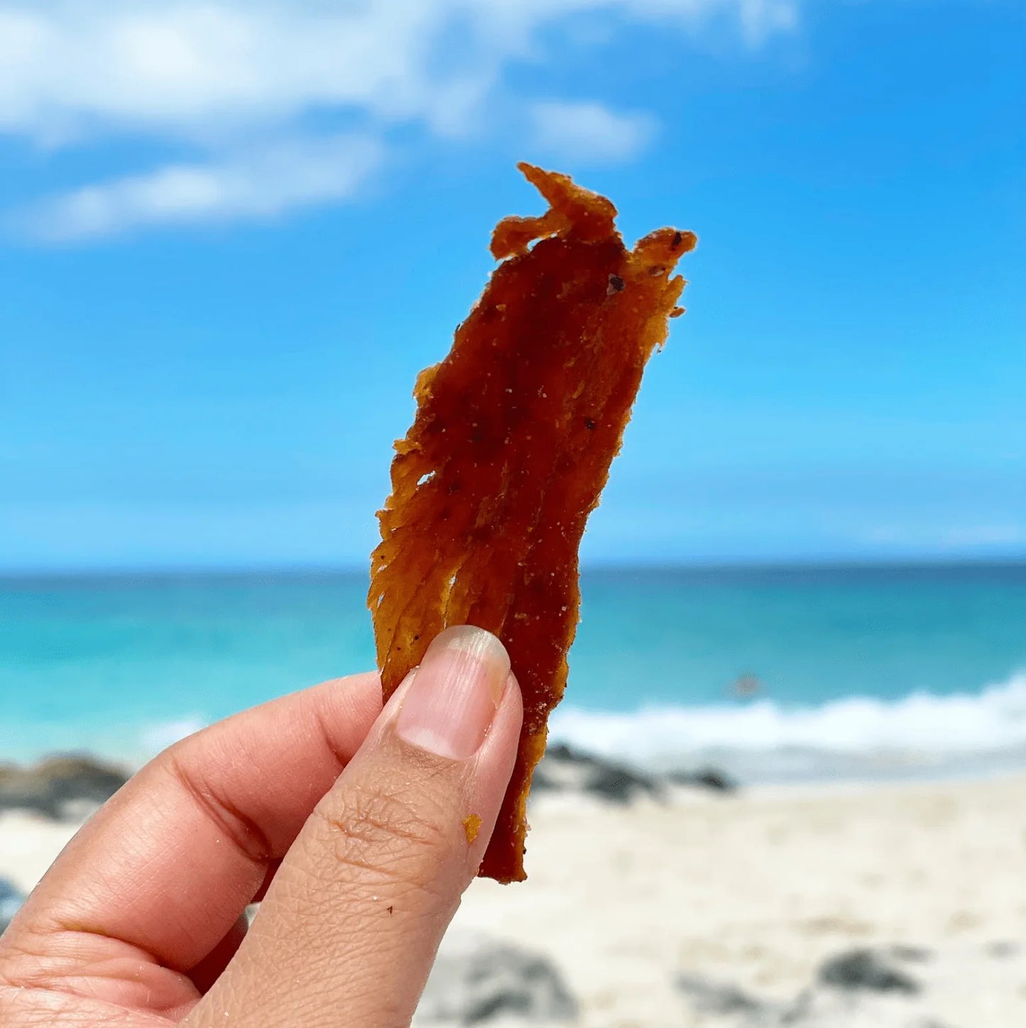 Peppered Ahi Tuna Jerky – Sweet & Spicy, Handcrafted in Hawaii