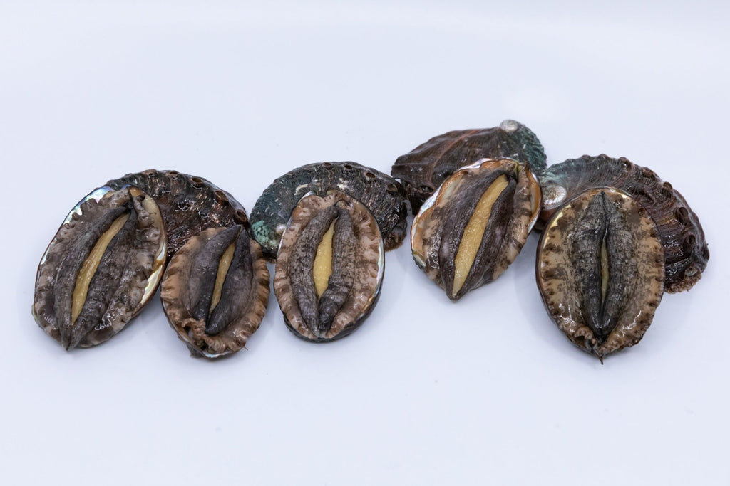 Kona Japanese Abalone Size 1 (14 to 24pcs/LB), 1LB