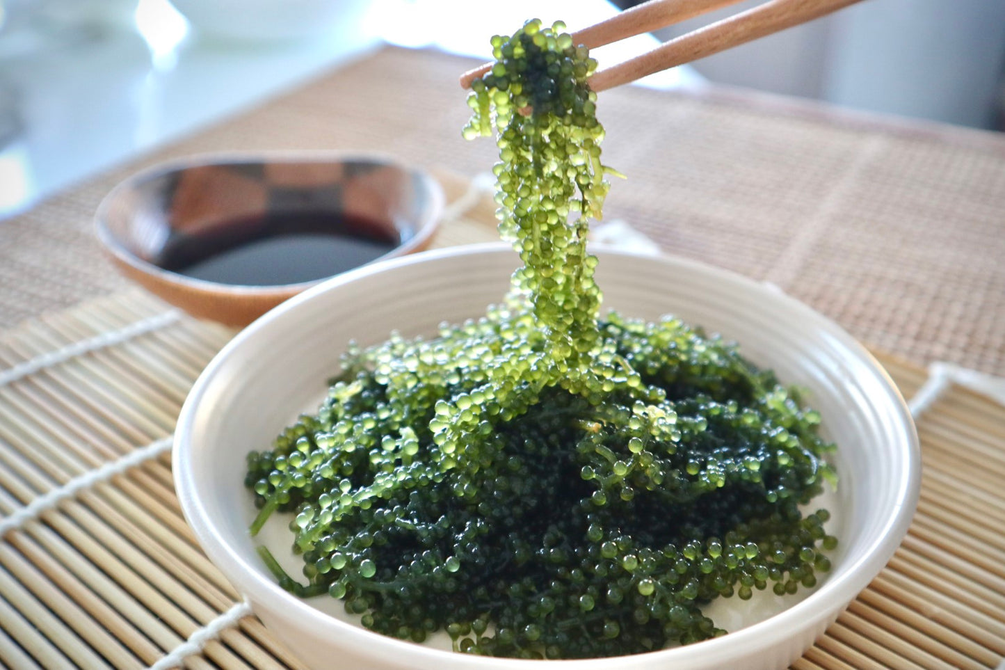 SEA ESSENCE Raisins de mer du Japon - Caviar vert (40g déshydraté donne 100g)