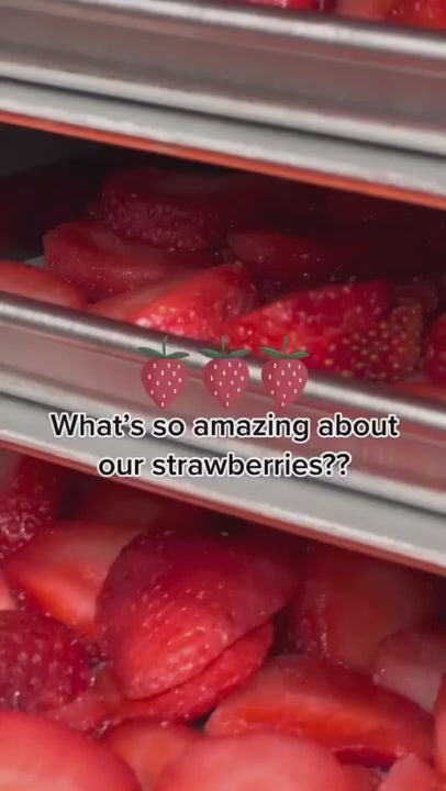 Handpicked Osmotic Strawberries | Natural & Sun-Dried | Fragaria Ananassa | Pure, No Additives