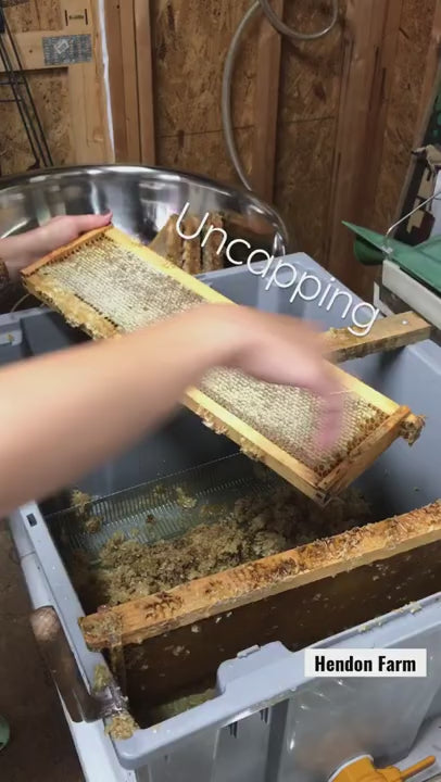 Wildflower Honey (1 gallon)